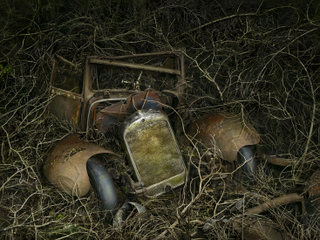 Illustration for article titled Photos of the abandoned antique cars nature has reclaimed